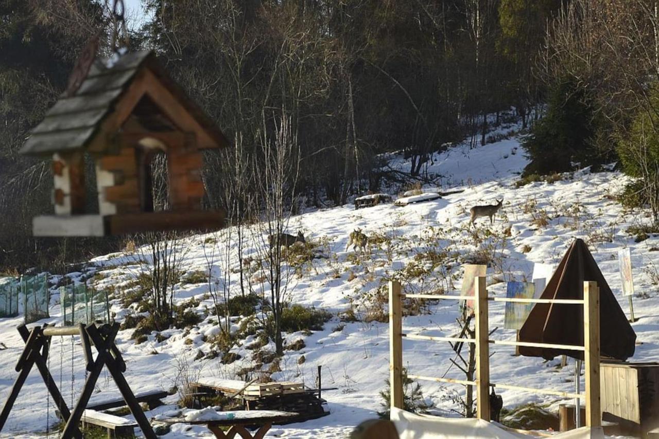 Mountain Chalet Smolenisko Domek W Gorach Nowy Targ Exterior photo
