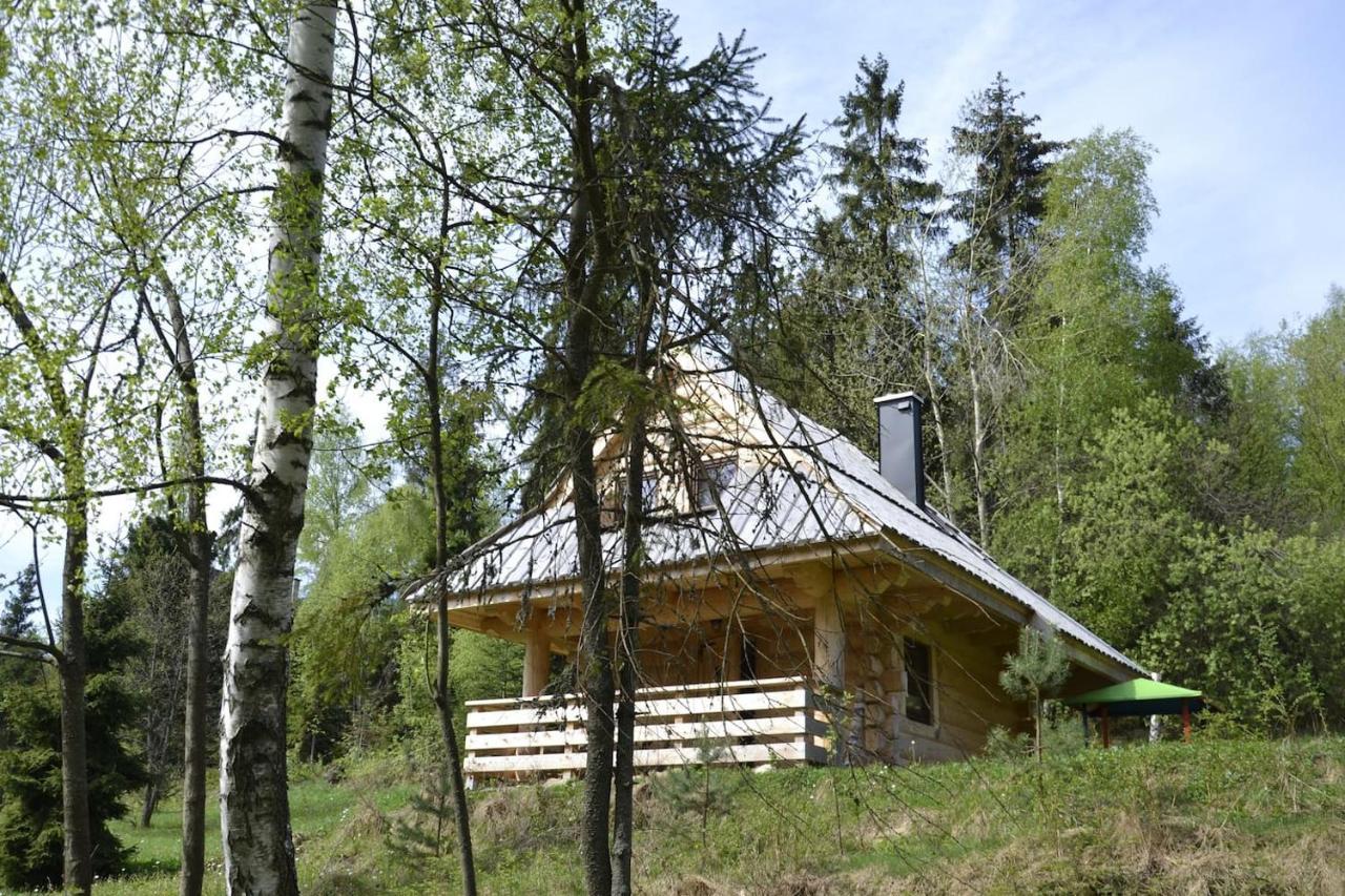 Mountain Chalet Smolenisko Domek W Gorach Nowy Targ Exterior photo